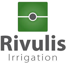 Rivulis